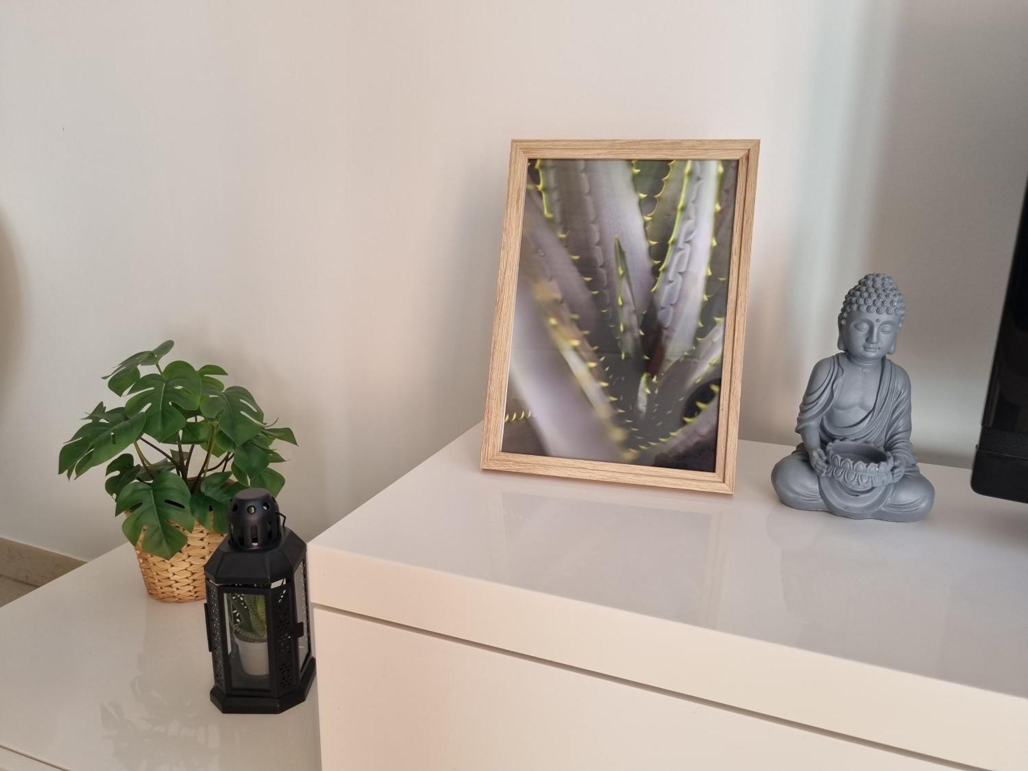 Cameos - Appartement Avec Terrasse Locairbi Le Crès Dış mekan fotoğraf